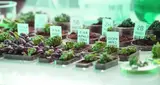None/ffpkbkjk6cw37gal/PG-agribusiness.jpg